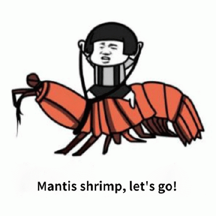 Mantis shrimp, lets go!