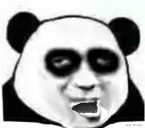 黑眼圈熊猫头动图