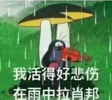 我活的好悲伤 在雨中拉肖邦