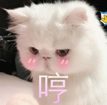 哼 ！表情包图片 - 求表情网,斗图从此不求人!