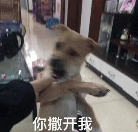 你撒开我表情包图片gif动图 - 求表情网,斗图从此不求人!