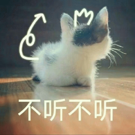 不听不听 可爱小猫配“不听不听”文字,萌态尽显超有趣表情包图片gif动图 - 求表情网,斗图从此不求人!