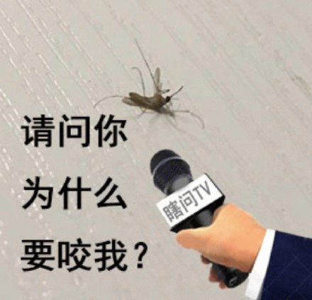 采访蚊子 请问你为什么要咬我