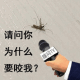 采访蚊子 请问你为什么要咬我