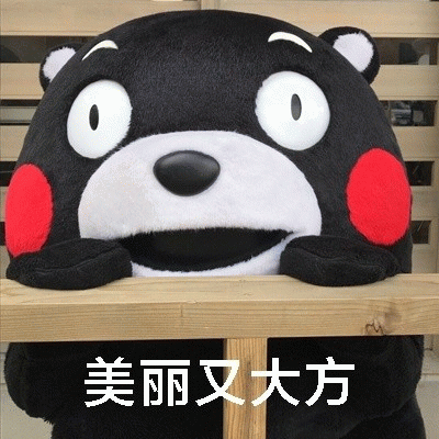美丽又大方 可爱熊本熊双手扶木架,配文“美丽又大方”超萌表情包图片gif动图 - 求表情网,斗图从此不求人!