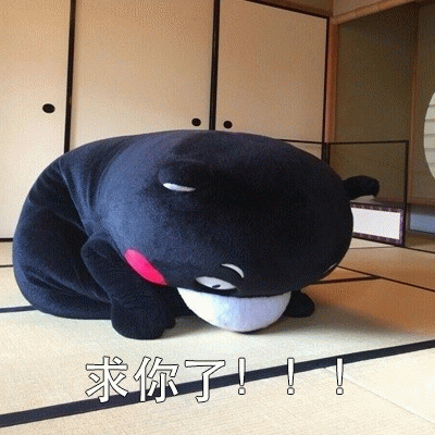 求你了 熊本熊给你磕头了表情包图片 求表情网 斗图从此不求人