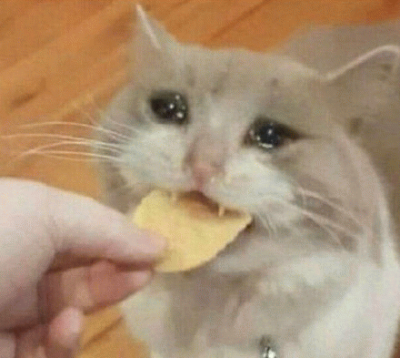 流泪猫猫头吃薯片