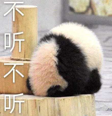 不听不听 熊猫把头埋起来配文“不听不听”,可爱又倔强的样子表情包图片gif动图 - 求表情网,斗图从此不求人!
