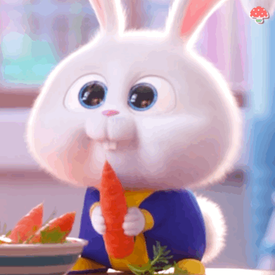 小白兔啃胡萝卜
