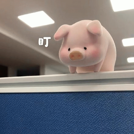 猪猪盯
