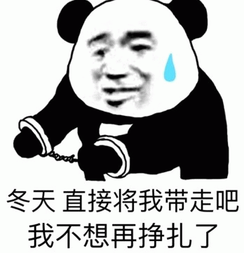 冬天直接将我带走吧  我不想再挣扎了