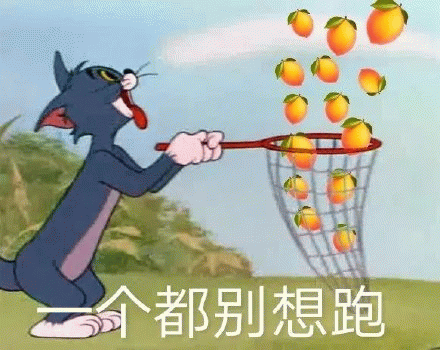 一个都别想跑 汤姆猫手持网兜捕橙子,配文“一个都别想跑”超霸气表情包图片gif动图 - 求表情网,斗图从此不求人!