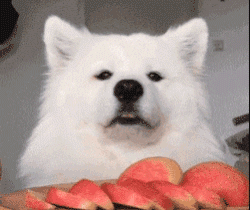 萨摩吃水果