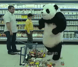 大熊猫踩东西 GIF