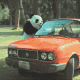 大熊猫砸汽车 GIF
