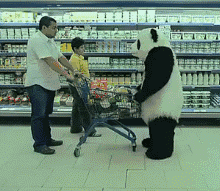 大熊猫啥东西 GIF