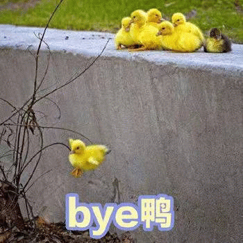 bye 鸭表情包图片gif动图 - 求表情网,斗图从此不求人!