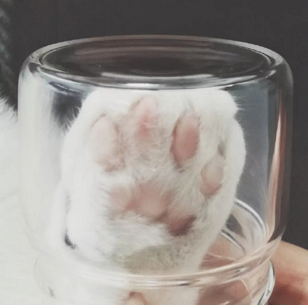 猫爪+玻璃杯=星巴克网红猫爪杯