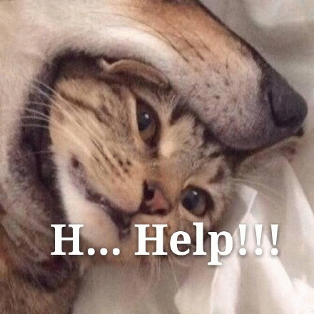 H 。。。help!(救命) 猫咪一脸无奈被压头,配文“H...Help!!!”尽显求救的可爱模样表情包图片gif动图 - 求表情网,斗图从此不求人!