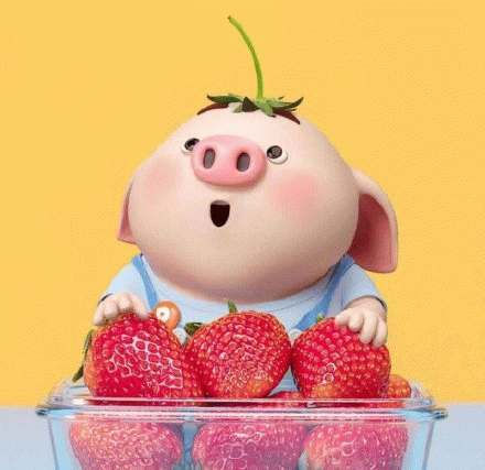 猪猪吃草莓