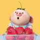 猪猪吃草莓