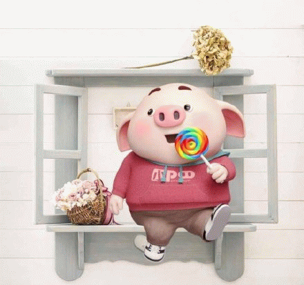 猪猪吃棒棒糖