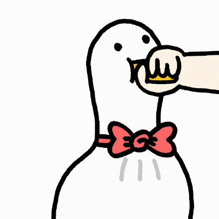 保龄鸭吃东西