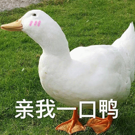 亲我□鸭