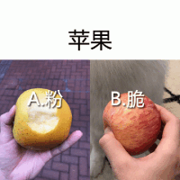 苹果：A粉B脆