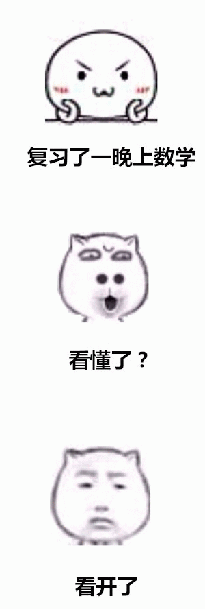 复习了一晚上数学 看懂了吗 看开了 这辈子是不可能看懂的表情包图片 求表情网 斗图从此不求人