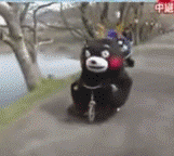 熊本熊骑自行车出车祸啦
