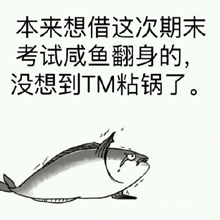 本来想借这次期末考试咸鱼翻身的，没想到 TM 粘锅了。