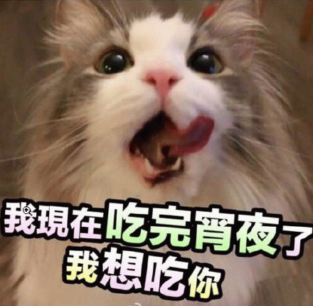 猫星人版：我现在吃完宵夜了，我想吃你。