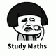Study Maths （学数学）