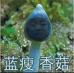 蓝瘦香菇