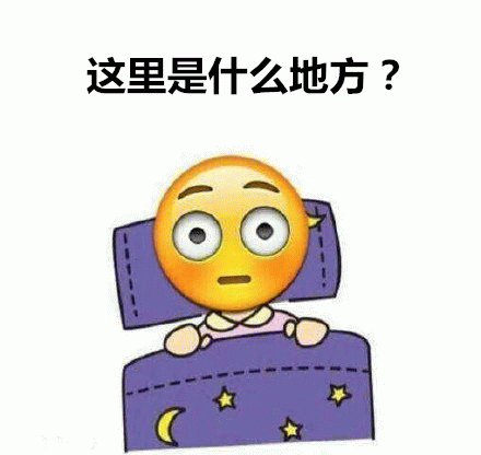 这是什么地方？