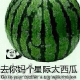 QNM个星际大西瓜（Go to your monther a big watermelon）