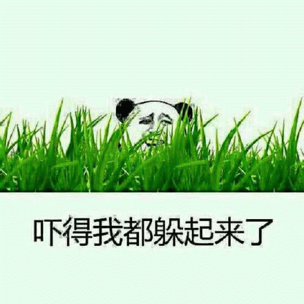 吓得我都躲起来了 熊猫躲在草丛中,配文“吓得我都躲起来了”的可爱表情包表情包图片gif动图 - 求表情网,斗图从此不求人!
