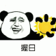 握日 － 金馆长熊猫