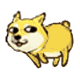黄色的doge