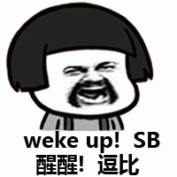 weke up! SB  醒醒！逗比