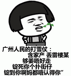 广州人民的打雪仗,含雷楼某,够姜唔好走,锭死你个扑街仔,锭到你啊妈都唔认得你表情包图片gif动图 - 求表情网,斗图从此不求人!