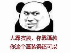 人靠衣装，你靠逼装，你这个逼装得还可以