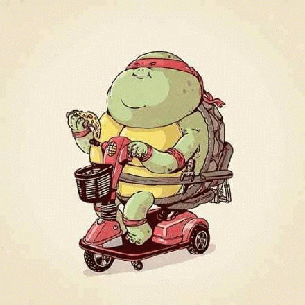 忍者神龟 可爱胖龟骑代步车吃披萨,萌态十足超有趣表情包图片gif动图 - 求表情网,斗图从此不求人!