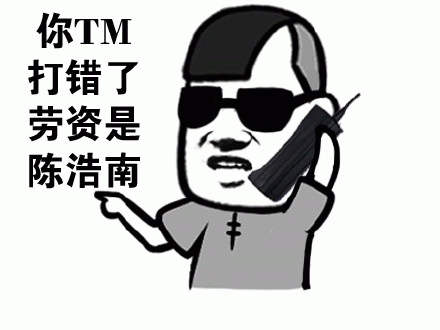 你 TM 打错了，劳资是陈浩南