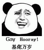 基佬万岁（gay Hooray!）