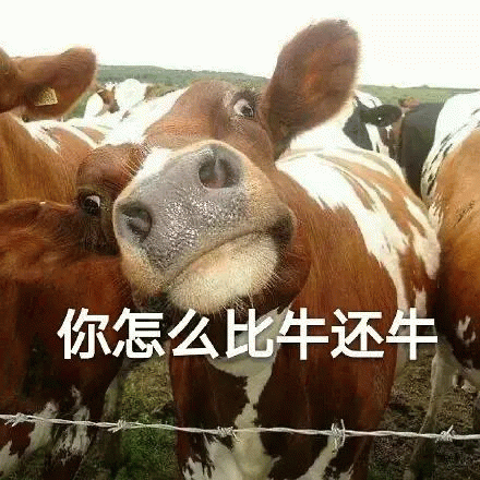 你怎么比牛还牛？（孙一宁王思聪聊天表情包）