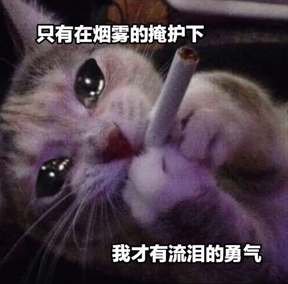 猫咪 猫咪抽烟流泪，只有在烟雾的掩护下 我才有流泪的勇气