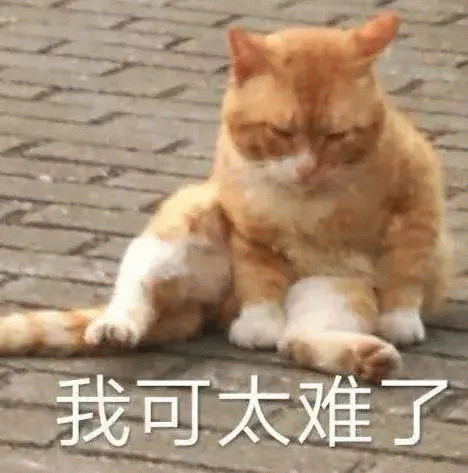 橘猫 橘猫躺在街上可怜兮兮的，我可太难了