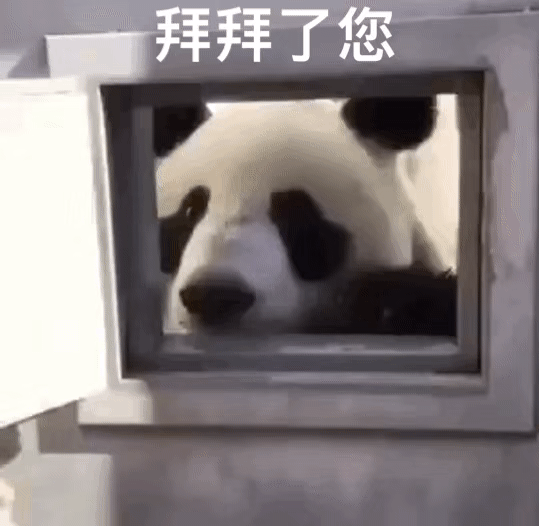 大熊猫 关闭大熊猫的小窗口，拜拜了您